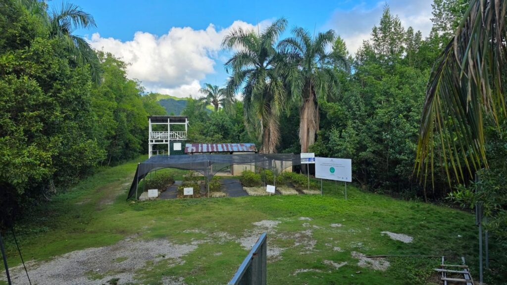 Llaman a Medio Ambiente a intervenir el Sendero Manglar Cangrejo en Sánchez