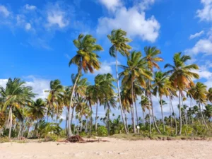 Forbes promueve Las Terrenas como una de las 6 ciudades latinas llenas de encanto europeo.